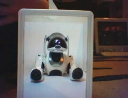 AIBO photo 1