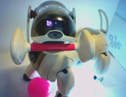 AIBO photo 3